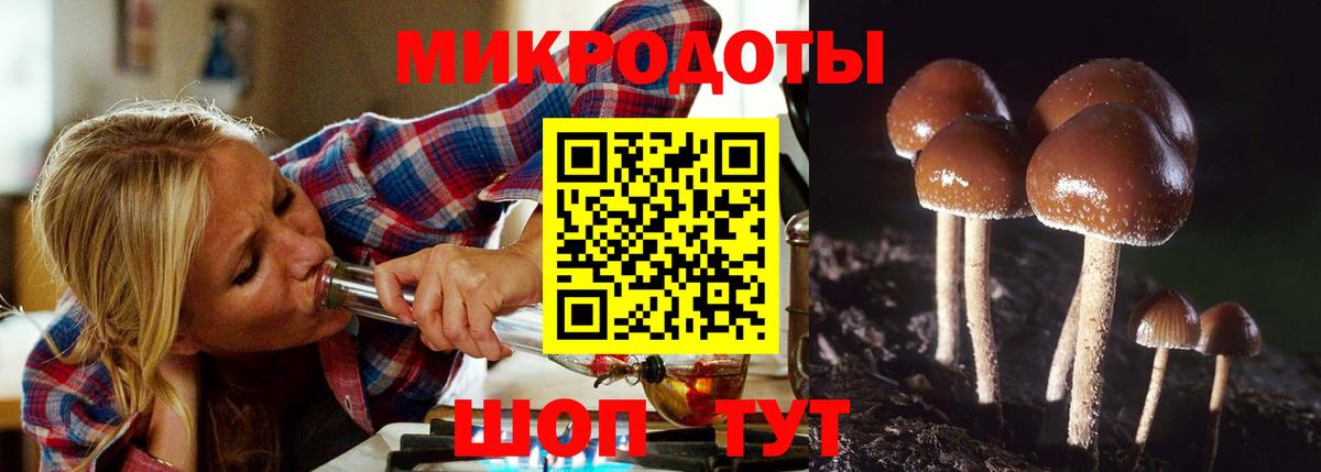 Избербаш  Галлюциногенные грибы Psilocybine cubensis  Вход с VPN  купить закладку  Псилоцибиновые грибы ЛСД 